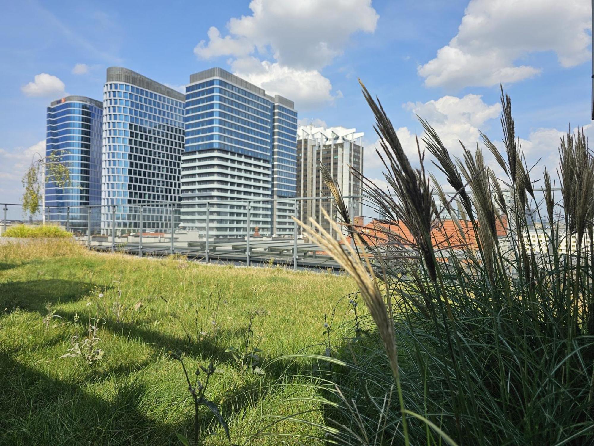 Urban Apartments Premium, Opolska 10 No 77A, Free Garage, Self Check-In Katowice Ngoại thất bức ảnh